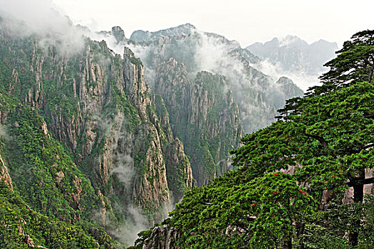 淘宝买听话的水暗语C1B8D97C5-18975